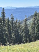 Looking downslope on Lower Flower bowl